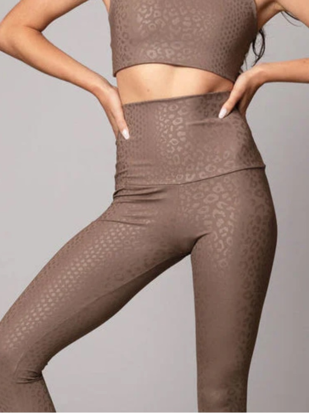 NWT Emily Hsu High-Waist Leopard Leggings